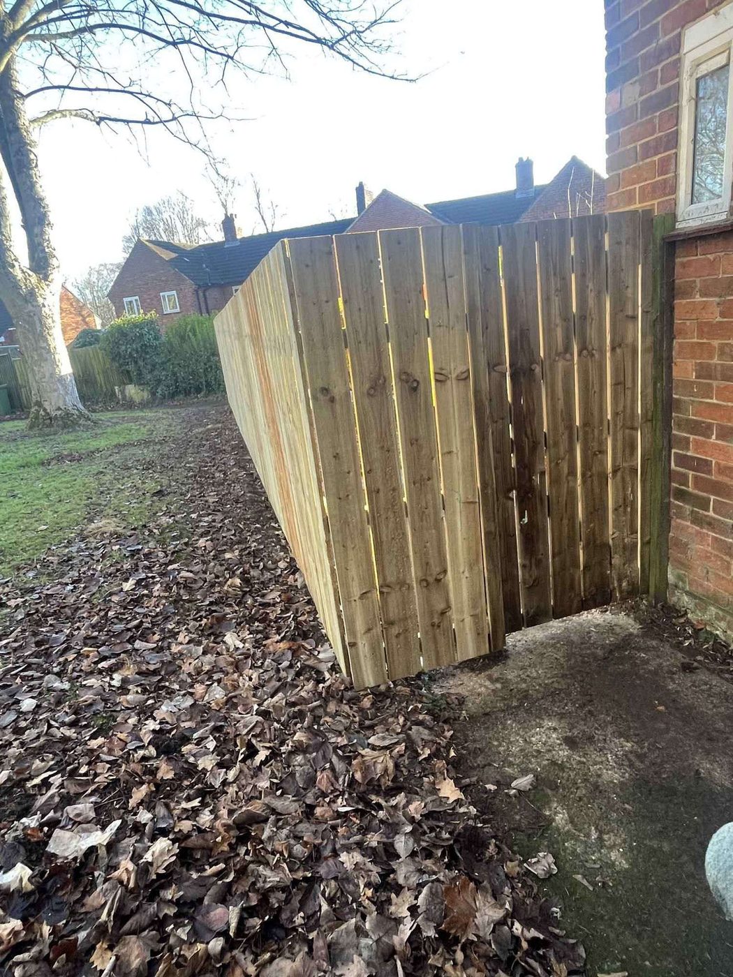 New close-board fencing
